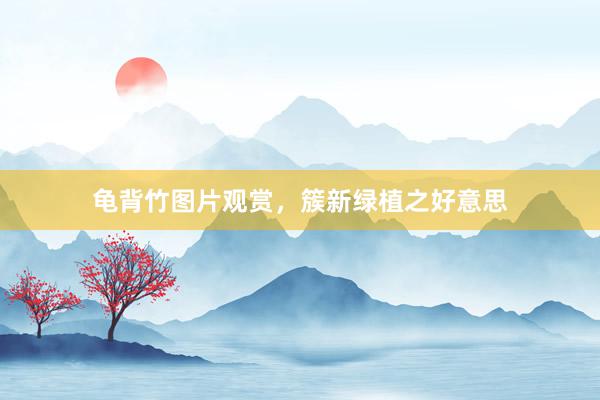 龟背竹图片观赏，簇新绿植之好意思
